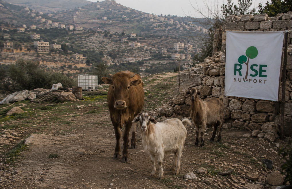 Lebanon Qurbani 1 syria 1